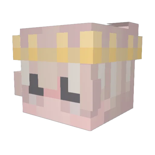 0External0 Minecraft avatar head, 3D render