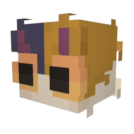 0HHHHH Minecraft avatar head, 3D render
