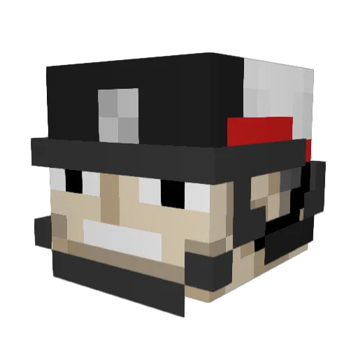 0HopoSeiki0 Minecraft avatar head, 3D render