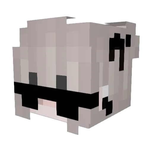 0Kova Minecraft avatar head, 3D render