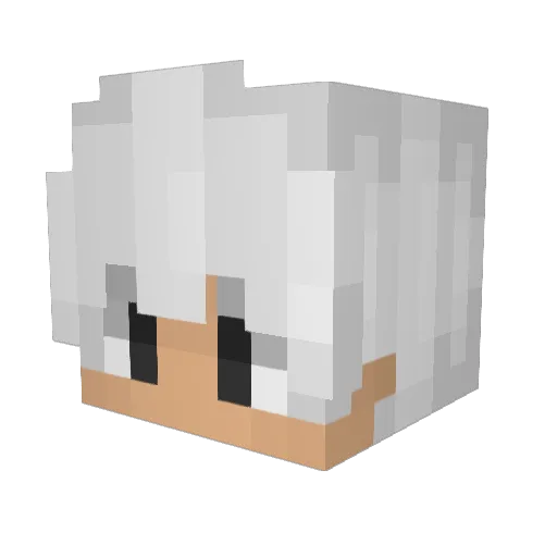 0L1N_ Minecraft avatar head, 3D render