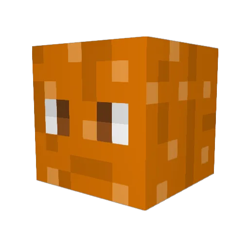 0Leahpar0 Minecraft avatar head, 3D render