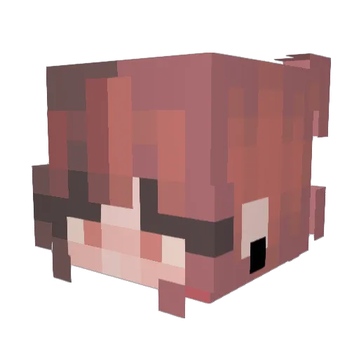 0LinG0 Minecraft avatar head, 3D render