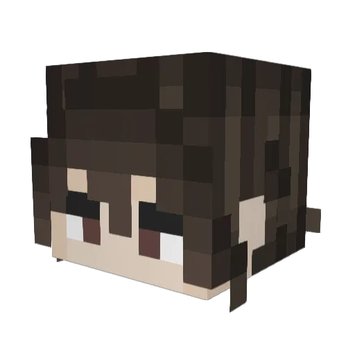0LostSoul0 Minecraft avatar head, 3D render