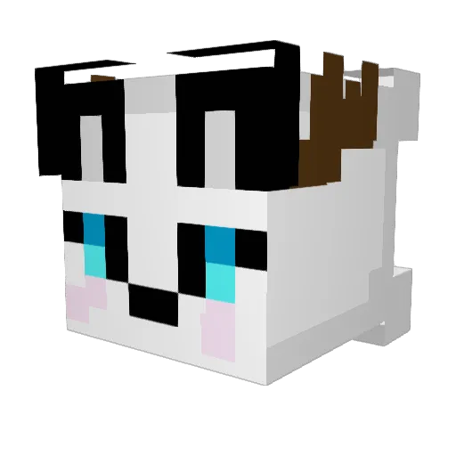 0Loxy0 Minecraft avatar head, 3D render