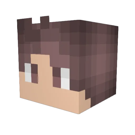 0Lucca Minecraft avatar head, 3D render