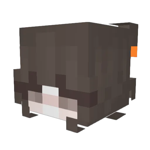 0Mady0 Minecraft avatar head, 3D render