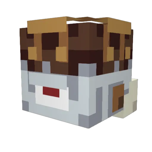 0NEP0T Minecraft avatar head, 3D render
