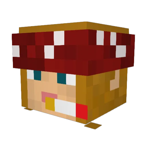 0OGUNSO0 Minecraft avatar head, 3D render