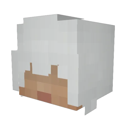0Omega Minecraft avatar head, 3D render