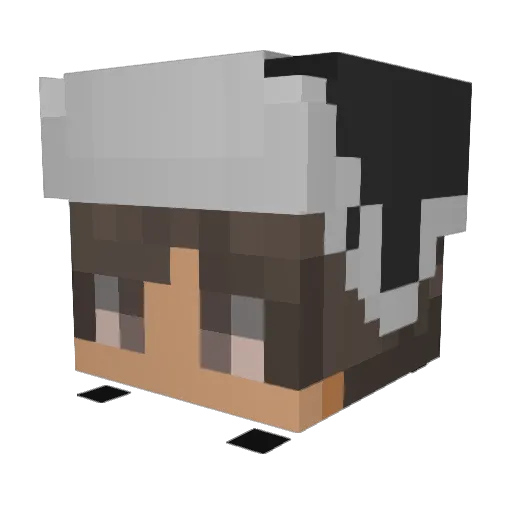 0PeetahBread0 Minecraft avatar head, 3D render