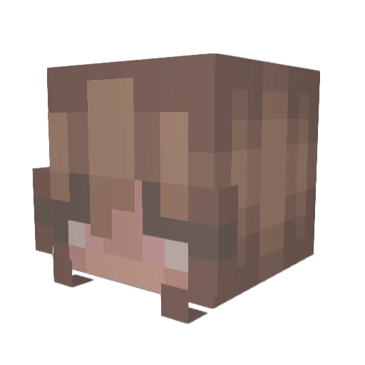 0Plant1 Minecraft avatar head, 3D render