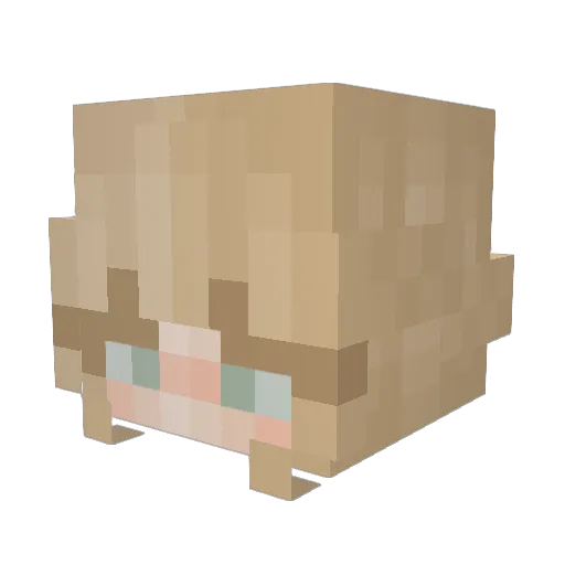 0PotatoTaylor0 Minecraft avatar head, 3D render