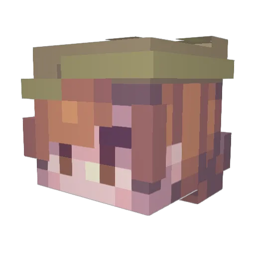 0RainbowFlash0 Minecraft avatar head, 3D render