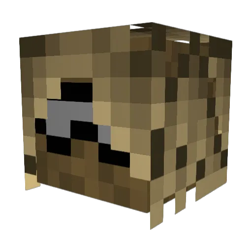 0Ranger0 Minecraft avatar head, 3D render