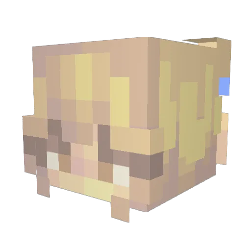 0RiddleDiddle0 Minecraft avatar head, 3D render