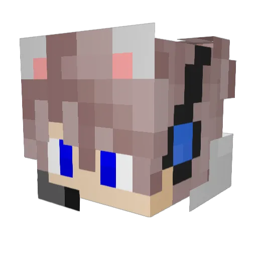 0SAKO1126 Minecraft avatar head, 3D render