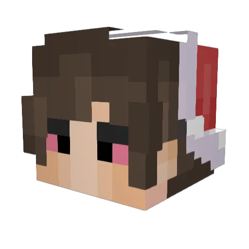 0SLTW Minecraft avatar head, 3D render