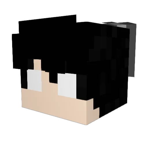 0Shaaaade Minecraft avatar head, 3D render