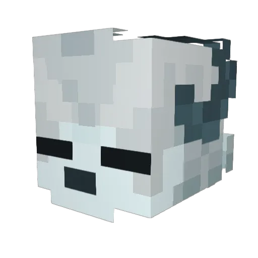 0Sn0wy Minecraft avatar head, 3D render