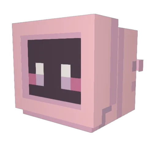0Starfall0 Minecraft avatar head, 3D render
