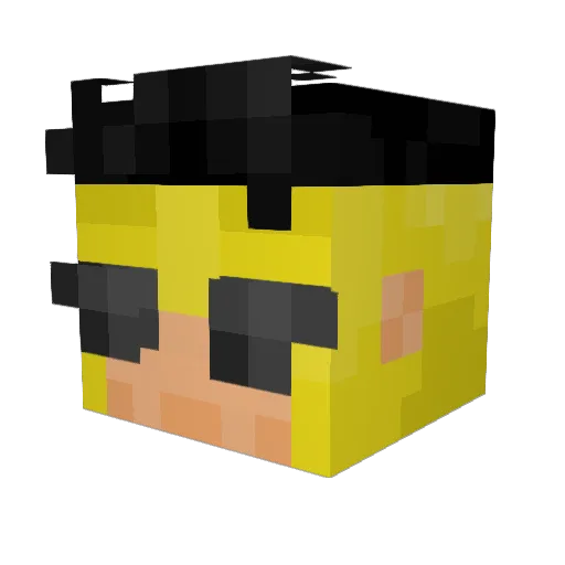 0Swifty0 Minecraft avatar head, 3D render