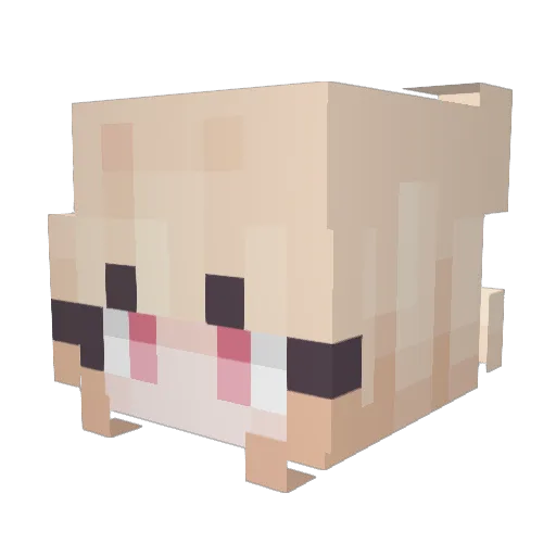 0TICO0 Minecraft avatar head, 3D render