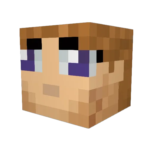 0TickDelay Minecraft avatar head, 3D render