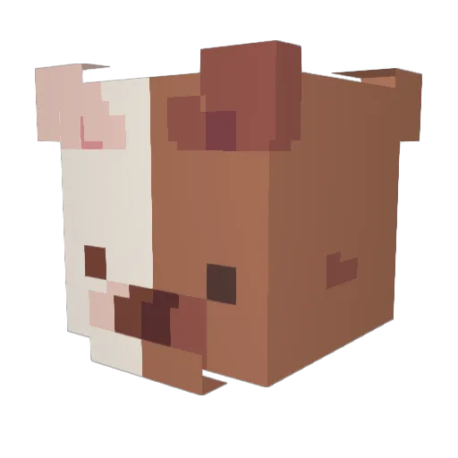 0Tord0 Minecraft avatar head, 3D render