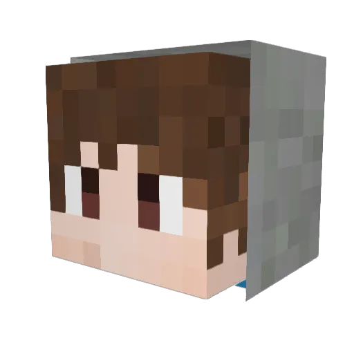0Tris Minecraft avatar head, 3D render