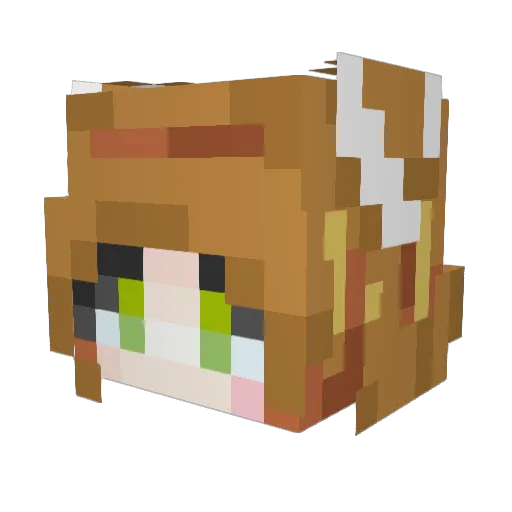 0WillPower0 Minecraft avatar head, 3D render