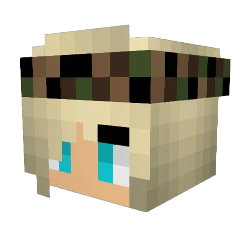0Woelfin Minecraft avatar head, 3D render