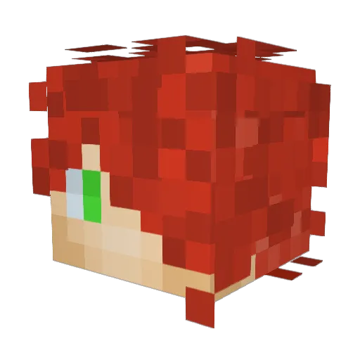 0XGamer14 Minecraft avatar head, 3D render