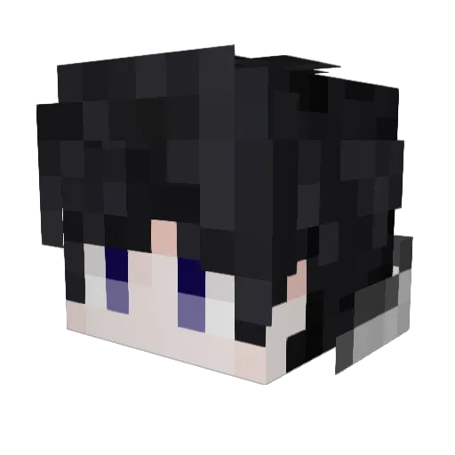 0_0Horizon0_0 Minecraft avatar head, 3D render