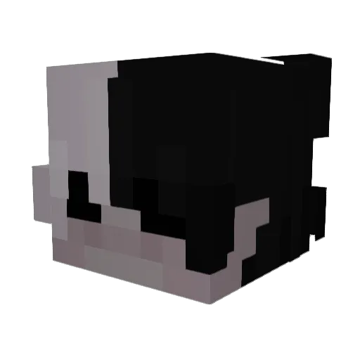 0_0RAKSO0_0 Minecraft avatar head, 3D render