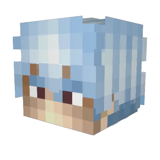 0_0x_x0_0 Minecraft avatar head, 3D render