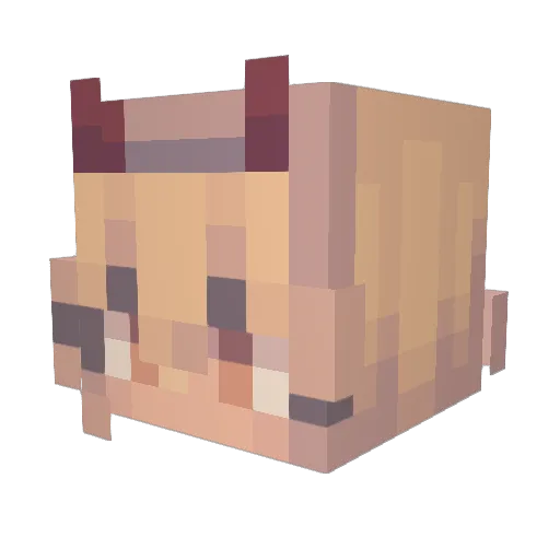 0_Dumbo_0 Minecraft avatar head, 3D render