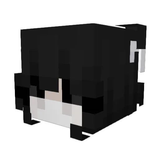 0_Evnii Minecraft avatar head, 3D render