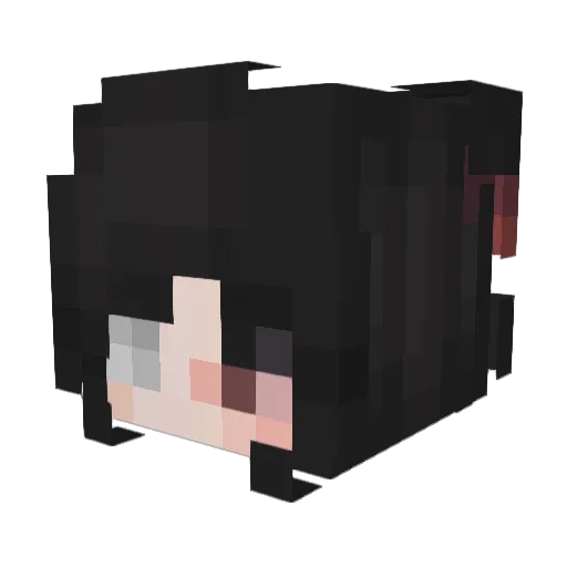 0_FPS_ Minecraft avatar head, 3D render