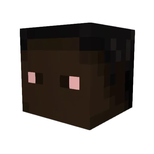 0_Fishy_ Minecraft avatar head, 3D render