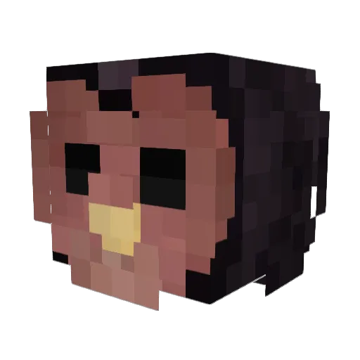 0_FuChi_0 Minecraft avatar head, 3D render