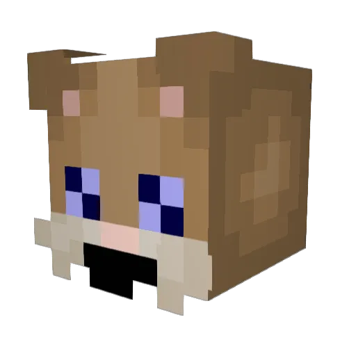 0_Hammy_0 Minecraft avatar head, 3D render