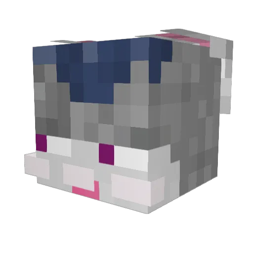0_KODA_0 Minecraft avatar head, 3D render