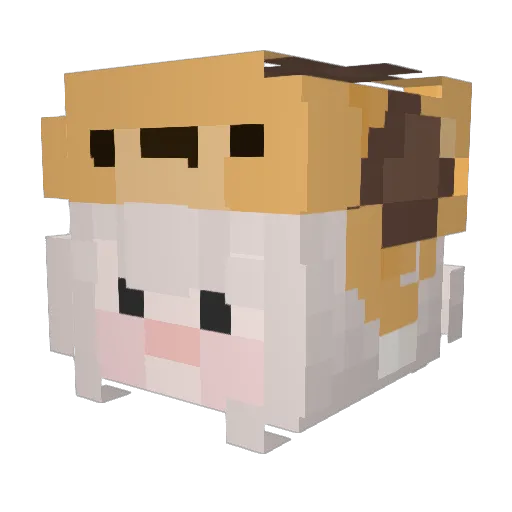 0_Kaswel_3 Minecraft avatar head, 3D render