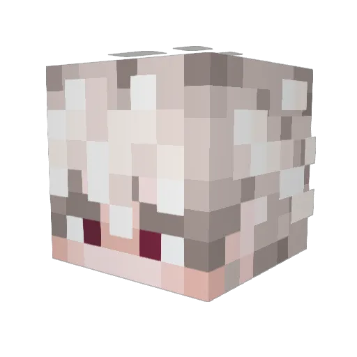 0_PVE_Farmila_0 Minecraft avatar head, 3D render