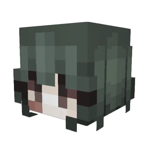0_Pocket_Lint_0 Minecraft avatar head, 3D render