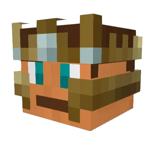 0_Prodigy_0 Minecraft avatar head, 3D render