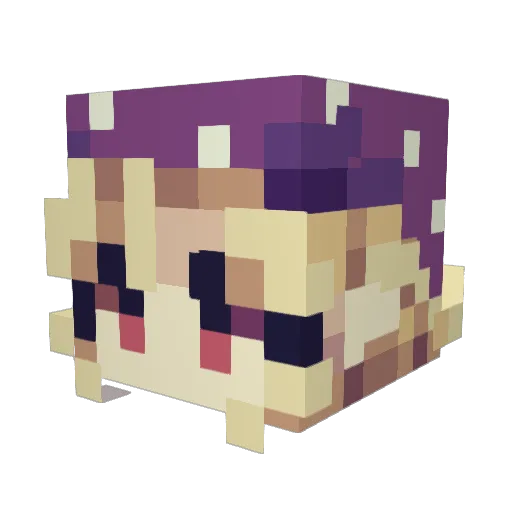 Minecraft-Avatar von 0_WD: Kopf als 3D-Render