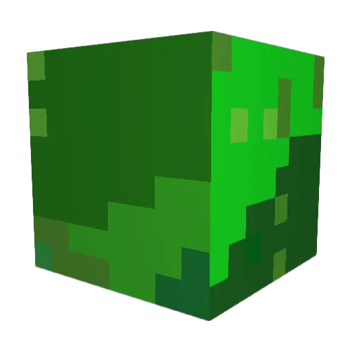 0_Weirdo_0 Minecraft avatar head, 3D render