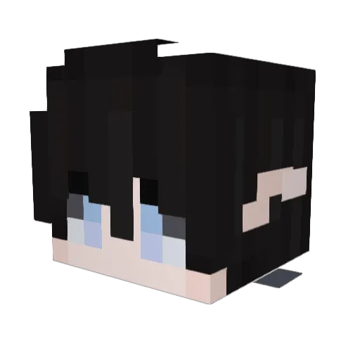 0_Xander_0 Minecraft avatar head, 3D render